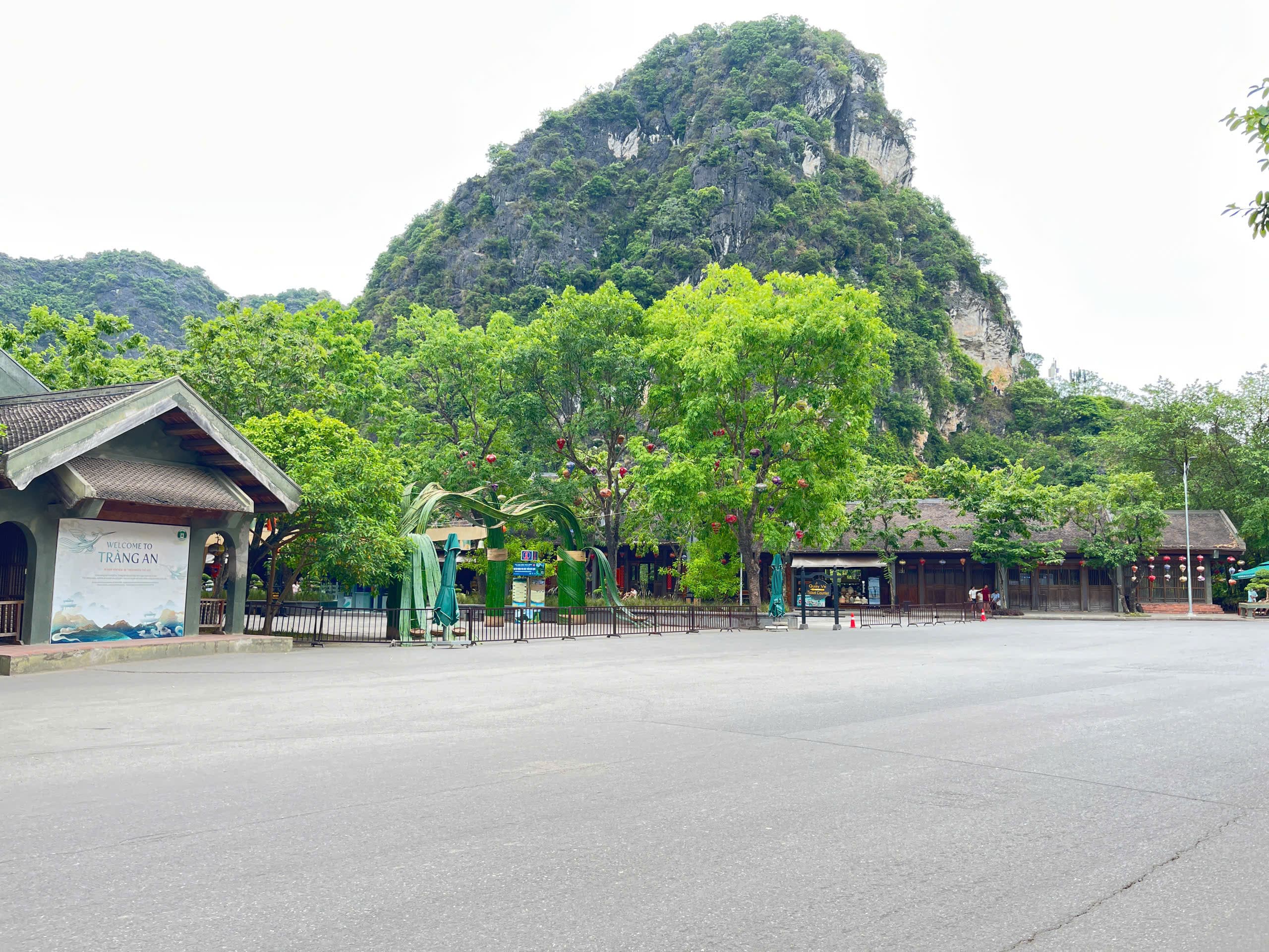 Kinh nghiệm chinh phục đại ngàn Tà Xùa và bí quyết di chuyển thuận tiện nhất