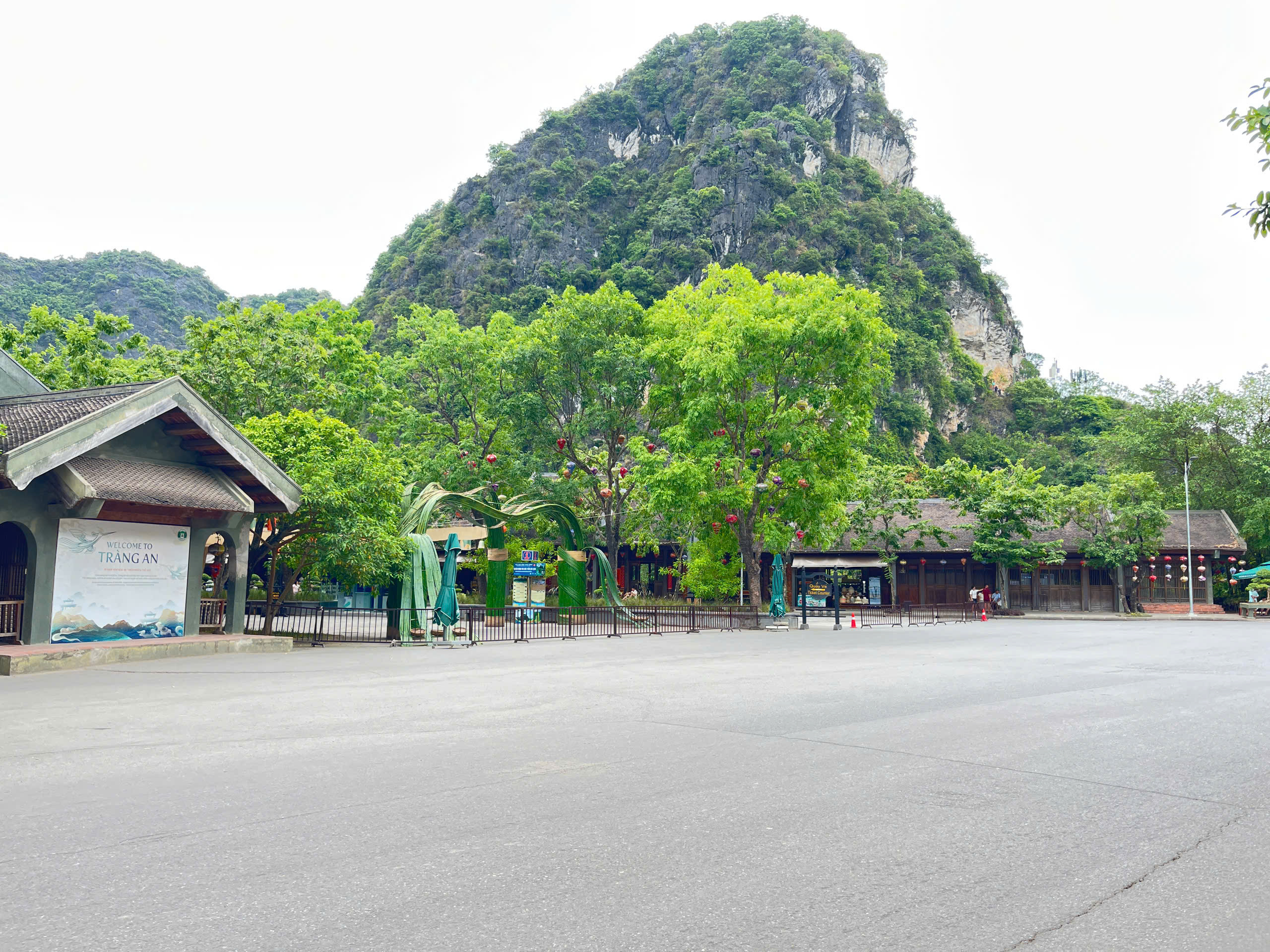 Kinh nghiệm chinh phục đại ngàn Tà Xùa và bí quyết di chuyển thuận tiện nhất